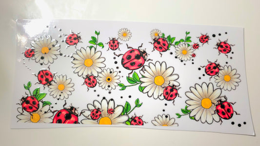 Ladybug Daisy
