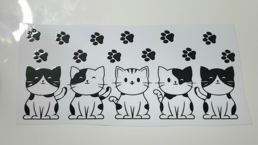 Cats